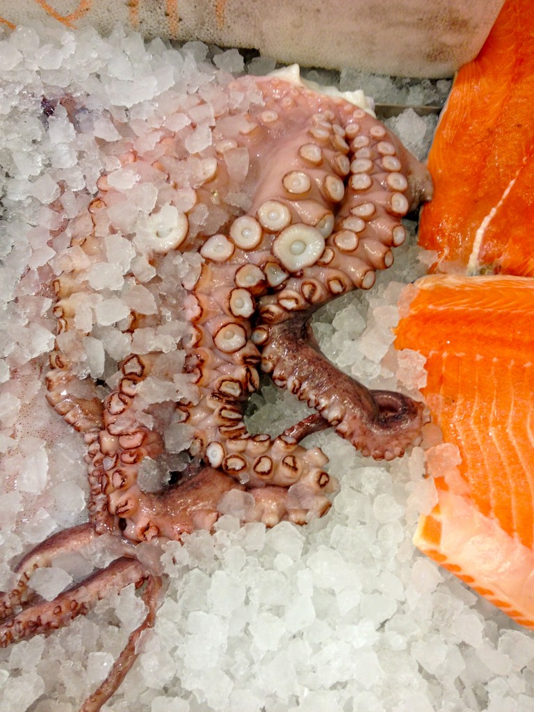 Octopus