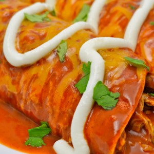 Turkey Enchilada